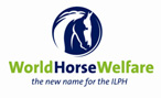 World Horse Welfare